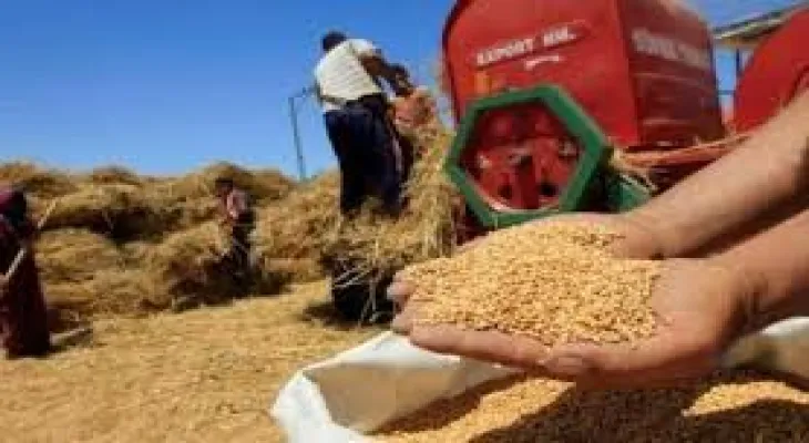 UN Secretary-General Warns of "Global Catastrophe" Due to Food Shortage