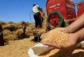 UN Secretary-General Warns of "Global Catastrophe" Due to Food Shortage