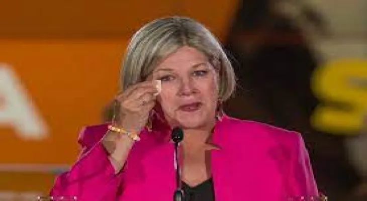 Appointment of a temporary leader today to replace Andrea Horwath for the Democratic National Party