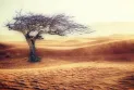 The US Supreme Court limits the ability to combat climate change