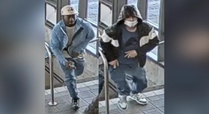 Toronto: Police search for two thieves and ask for public help