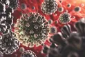 Japan warns of a rapid rise in coronavirus cases