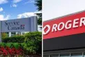 The deputies meet today to consider a possible study on the interruption of Rogers service from work.