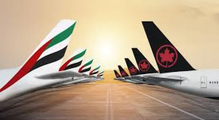 Canada Airlines was ordered to compensate a passenger a sum of money due to a delay in receiving her luggage.