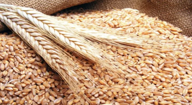 Despite the war.. Ukraine announces the launch date of the first grain shipment to the world