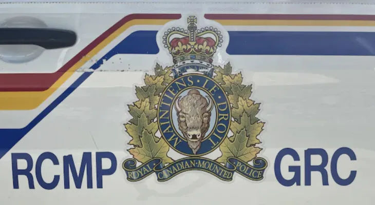 Parliamentary committee investigates the use of advanced technology by the Royal Canadian Mounted Police to maintain security