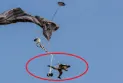 Ottawa: Firefighter dies after "advanced parachute drill" during parachuting