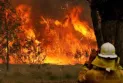 An abandoned cart causes a forest fire outbreak