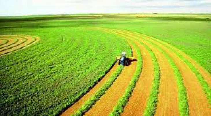 Announcement of new funding for the agri-food sector in the Algoma region