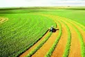 Announcement of new funding for the agri-food sector in the Algoma region