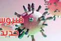 "Langya" is the name of the new virus, which is considered more deadly than covid-19.