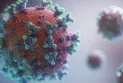 Canada records 776 new coronavirus cases and 5 deaths