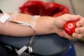 Blood services in Canada resort to money in exchange for finding donors..