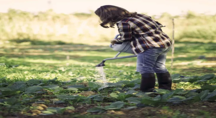 New Mentorship Program for Women in Agriculture