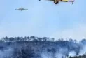 Dozens killed and injured in wildfires in Algeria