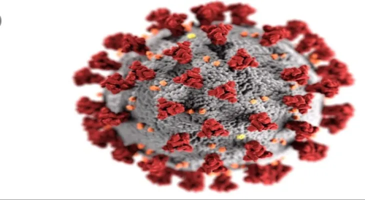 New study on COVID-19