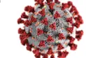 New study on COVID-19