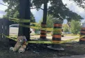 Three teenage siblings killed in an accident in Brampton
