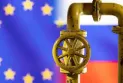 Russia cuts gas to Europe