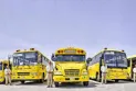 The School Transportation Authority in Ottawa canceled buses on 20 routes before the start of the school season.