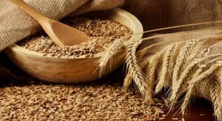 Expectations of a 34% increase in global wheat prices