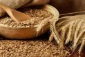 Expectations of a 34% increase in global wheat prices