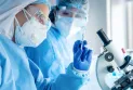 Quebec: Statistics on the rise of COVID-19 hospital admissions and reports of deaths