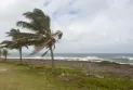 Storm Fiona: Maximum alert and power outage in the Magdalen Islands