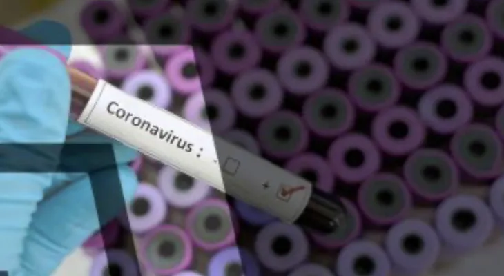 New coronavirus-like virus raises global concern