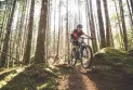 Unprecedented spread of mountain biking throughout Quebec