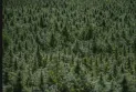 The Federal Court rejected a lawsuit filed by an Ontario farmer against the Canada Revenue Agency for 10 million dollars.