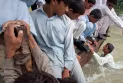 United Nations: 5.7 million Pakistani survivors in "urgent need" of aid after floods