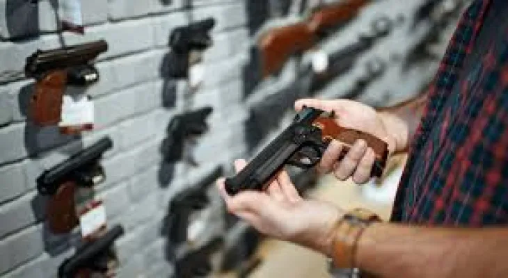 The Minister of Public Safety defends the proposed Canadian firearms legislation, saying it is necessary to end gun violence.