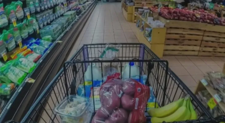 The National Democratic Party pushes federalists to address rising grocery costs
