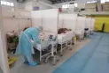 Hospital admissions due to COVID-19 have reached their highest level in two months