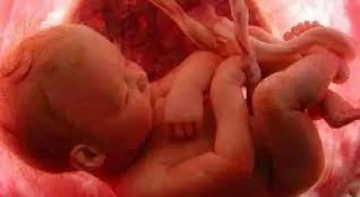 Study: Air pollution particles can reach fetuses' organs in their mothers' wombs