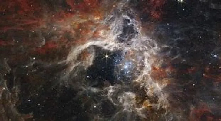X-rays: Canadian scientists look with star-studded eyes over the James Webb Space Telescope