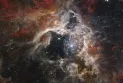 X-rays: Canadian scientists look with star-studded eyes over the James Webb Space Telescope