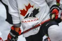 The entire Board of Directors of Hockey Canada and CEO Scott Smith have resigned
