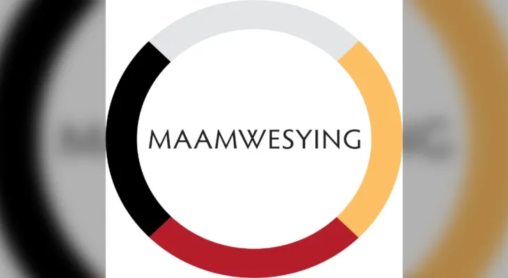 Create a new Health Ontario team to reach Indigenous communities
