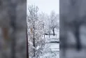 The first snowfall in Calgary with greater intensity than expected