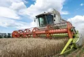 Moscow resumes its participation in the grain export agreement and America welcomes it