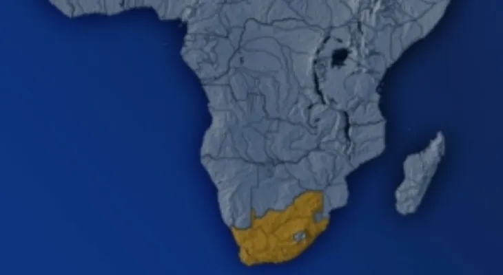 Police: 21 bodies found in a mine in South Africa