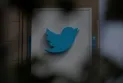 Subscriptions to "twitter blue" are not yet available for a group of fake accounts