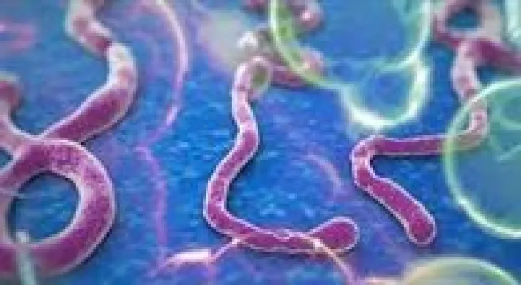 Ugandan health: Canada's vaccine effective against the latest Ebola strain