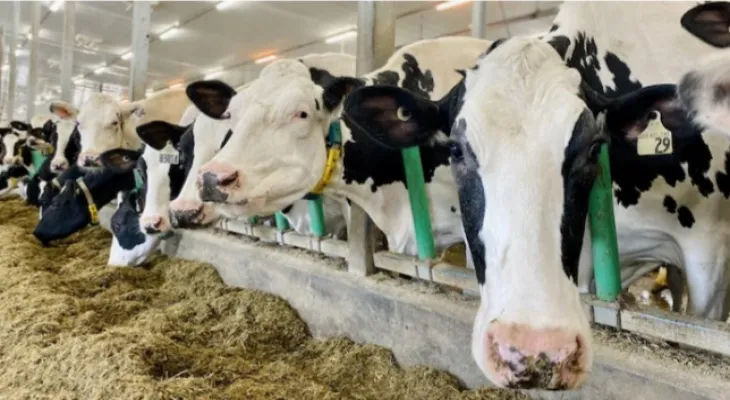 $1.7 billion in federal financial aid for dairy and poultry farmers