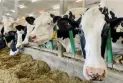 $1.7 billion in federal financial aid for dairy and poultry farmers