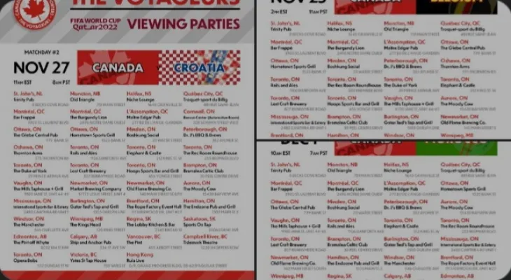 Here is where you can watch the World Cup matches in the Greater Toronto Area