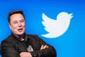The Qatar 2022 World Cup is considered the biggest test for Twitter and its owner Elon Musk