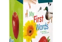 The Canadian Ministry of Health issues a decision to withdraw an educational toy for children from the markets